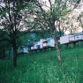szrnesa